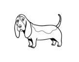 A Basset hound coloring page