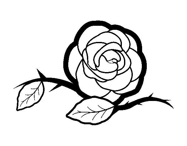 A beautiful rose coloring page