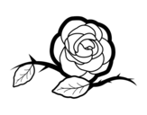 Dibujo de A beautiful rose