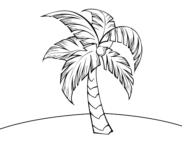palm tree leaves coloring pages - photo #35
