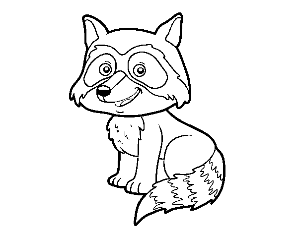 A young raccoon coloring page