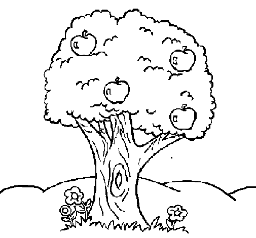 Apple tree coloring page