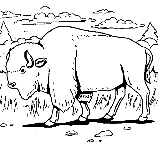 Buffalo coloring page
