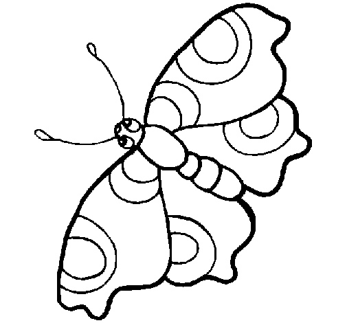 Butterfly 11 coloring page