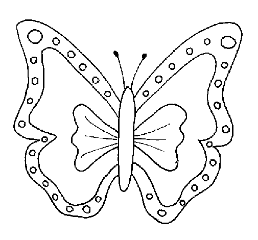 Butterfly 4a coloring page