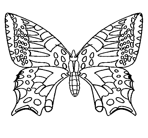 Butterfly 5 coloring page