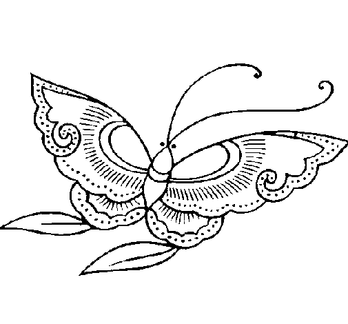 Butterfly 8a coloring page