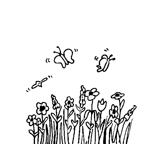 Butterfly on flowers coloring page