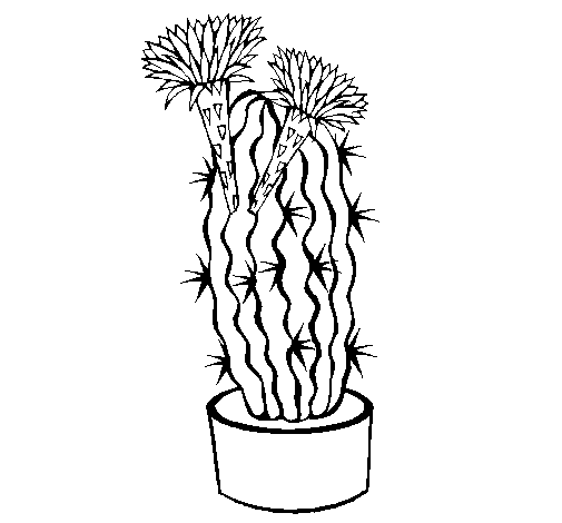 Cactus with flowers coloring page