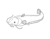 Dibujo de Catfish