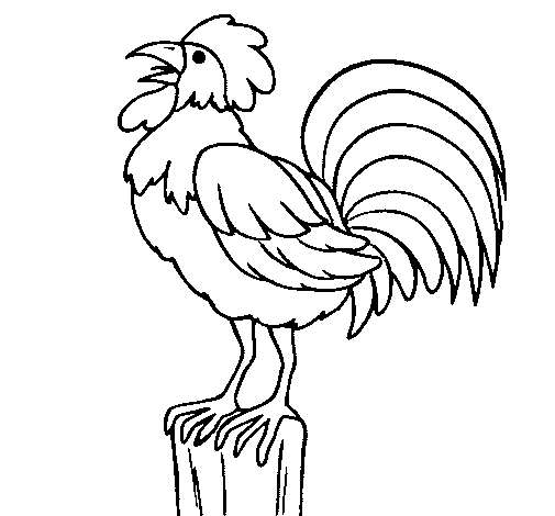 Cock singing coloring page