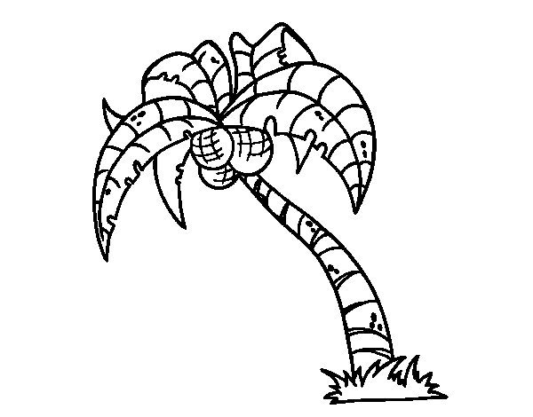 palm tree leaves coloring pages - photo #33