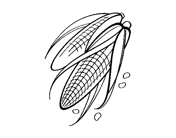 Corncobs coloring page