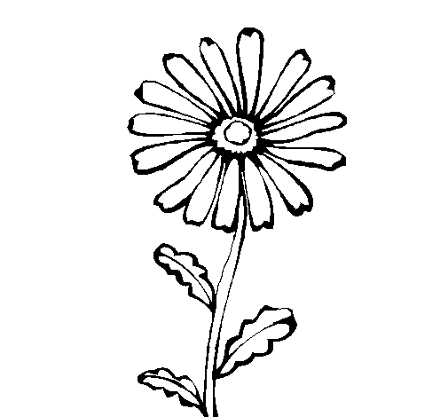 Country flower coloring page