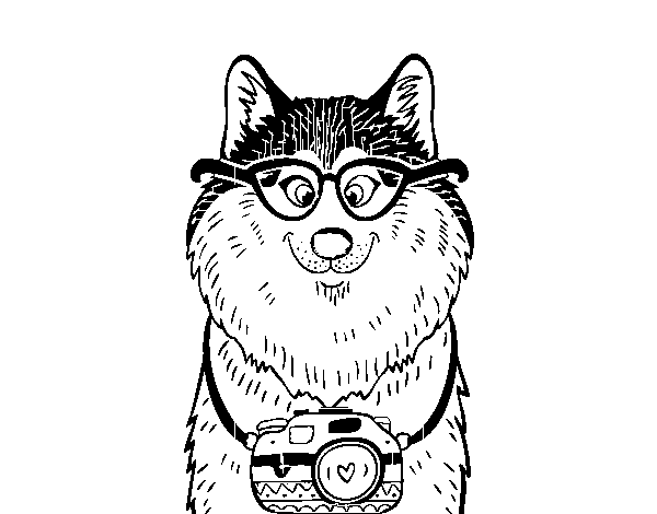Dog photographer coloring page