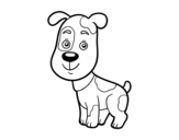 Domestic dog coloring page