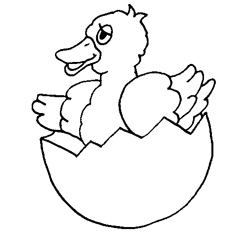 Duckling in shell coloring page