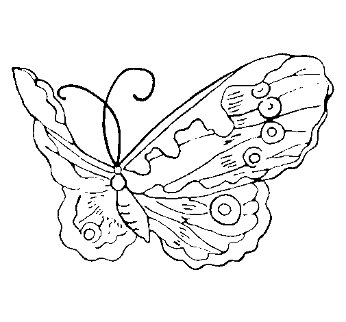 Elegant Butterfly coloring page
