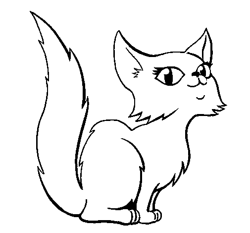 Female Persian cat coloring page