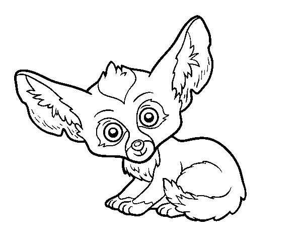 Fennec fox coloring page