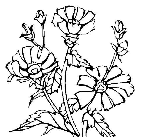 Floral ensemble coloring page