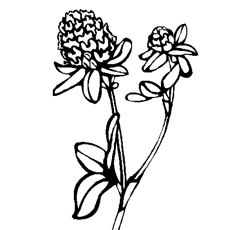 Flower 5a coloring page