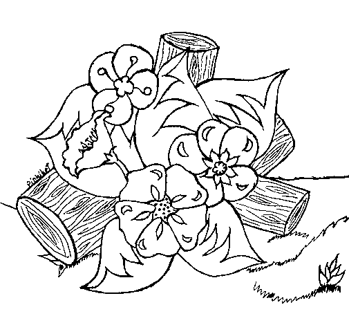 Flowers I coloring page