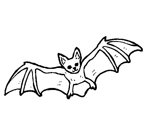 Flying bat coloring page - Coloringcrew.com