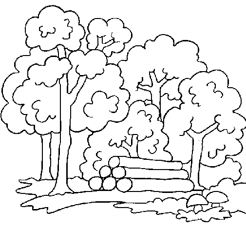 Forest coloring page