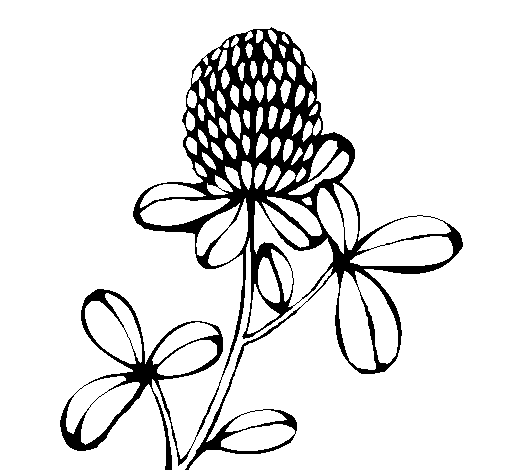 Forest flower coloring page