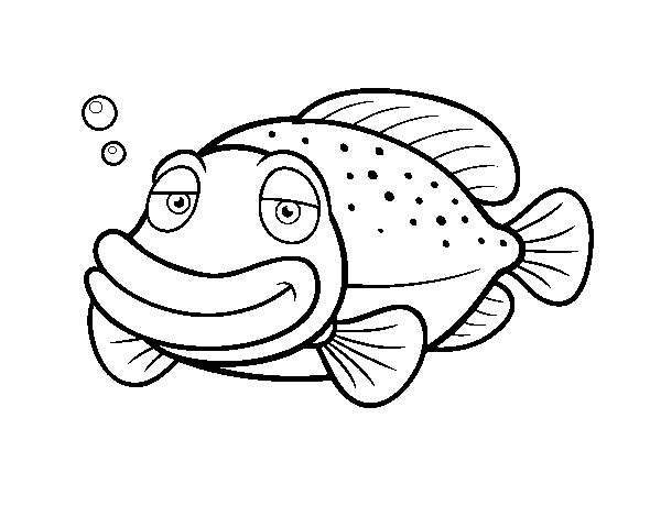 Grouper coloring page