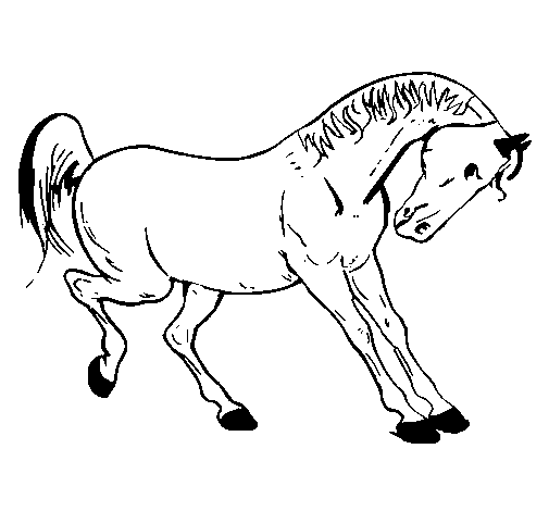 Horse dancing coloring page