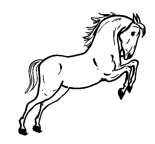 Horse jumping coloring page