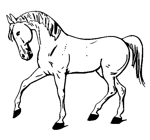 Horse lifting leg coloring page