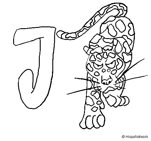 Jaguar coloring page