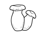 Dibujo de King trumpet mushroom