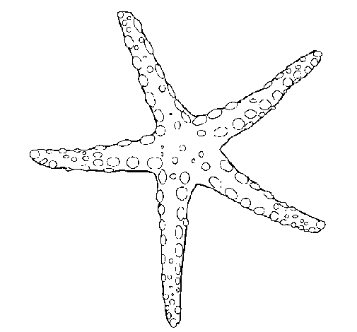Little starfish coloring page