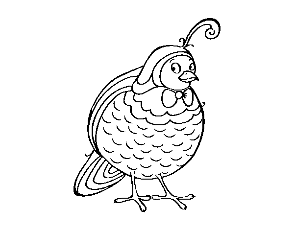 Partridge coloring page