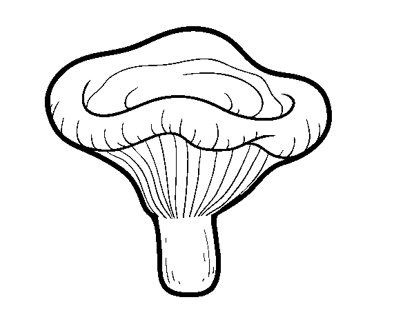 Paxillus involutus mushroom coloring page