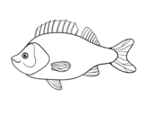 Perch coloring page