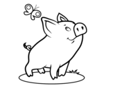 Piggy and butterfly coloring page