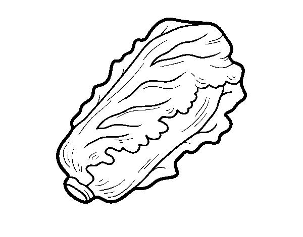 Romaine lettuce coloring page