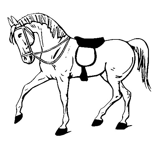 Show horse coloring page