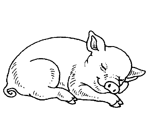 Sleeping pig coloring page