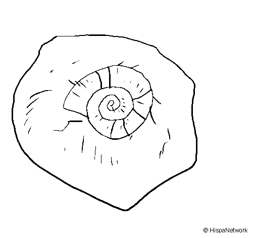 Snail fossil coloring page