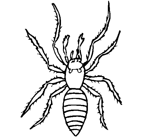 Spitting spider coloring page
