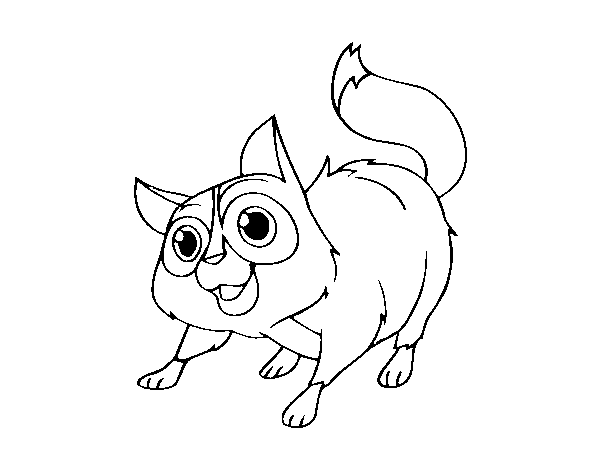 Street cat coloring page