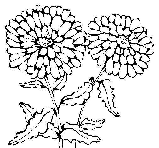 Surfer style flower coloring page