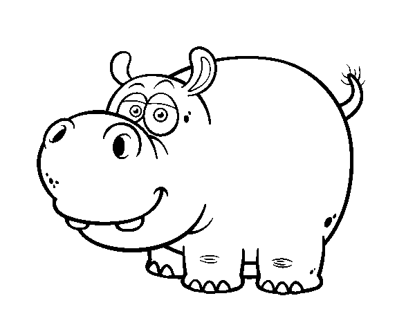 The hippopotamus coloring page