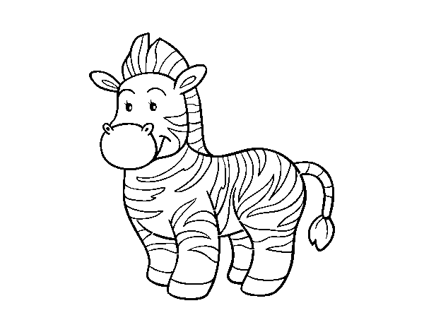 The  zebra coloring page
